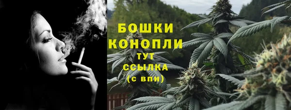 шишки Арсеньев