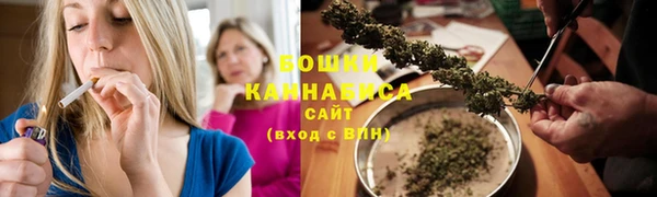 ешки Аркадак