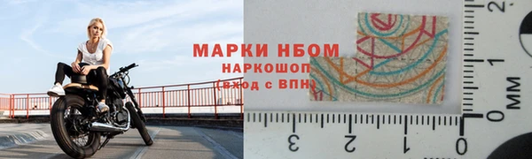 ешки Аркадак