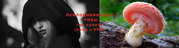 ешки Аркадак
