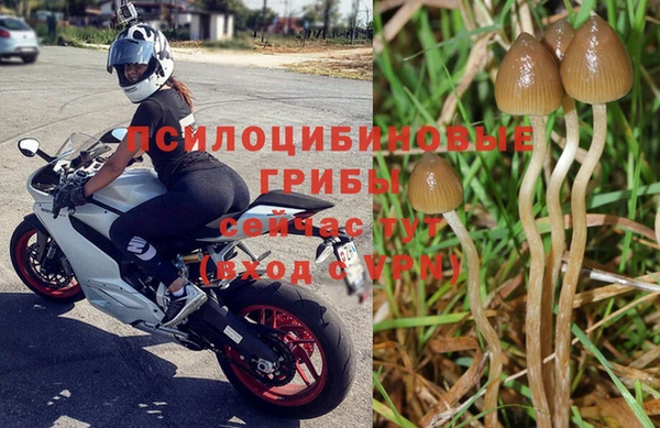 метадон Армянск