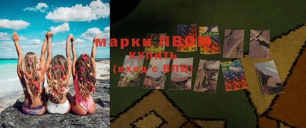 шишки Арсеньев