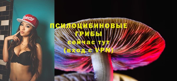 метадон Армянск